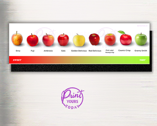 Apple variety fruit magnet set flat lay