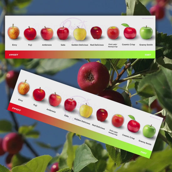Apple fruit magnets gift packaging