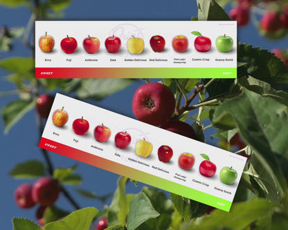 Apple fruit magnets gift packaging